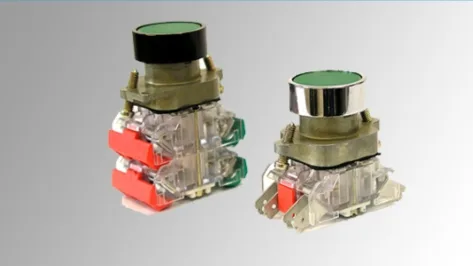Push buttons - C22 range